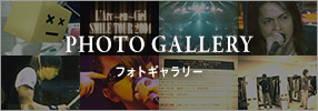 PHOTO GALLERY